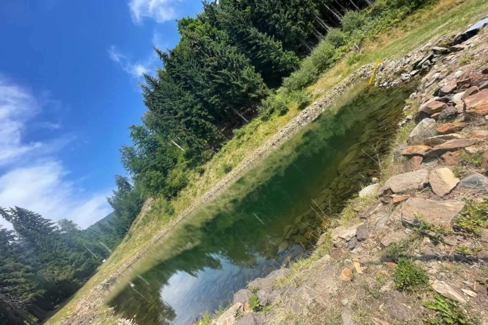 SORT B-Areas within 5km in summer