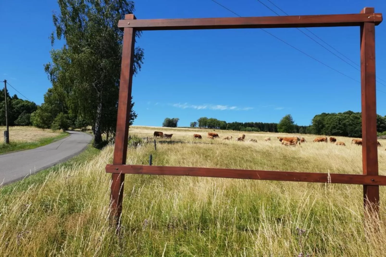 Barbora-Areas within 5km in summer