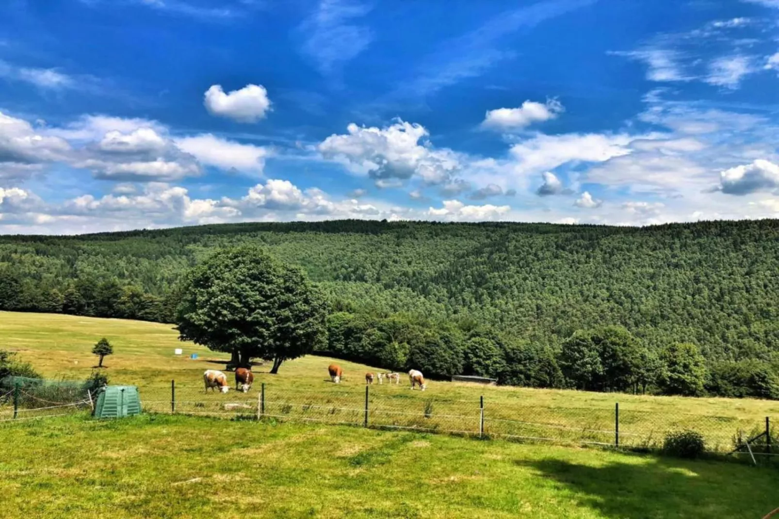 Stela-Areas within 5km in summer