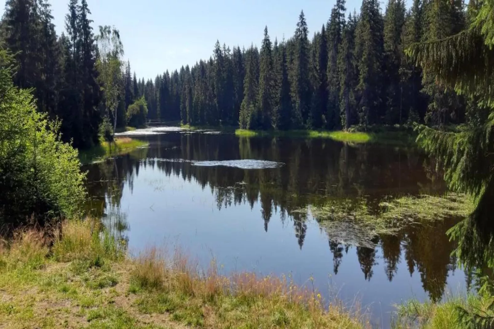 Monika-Areas within 5km in summer