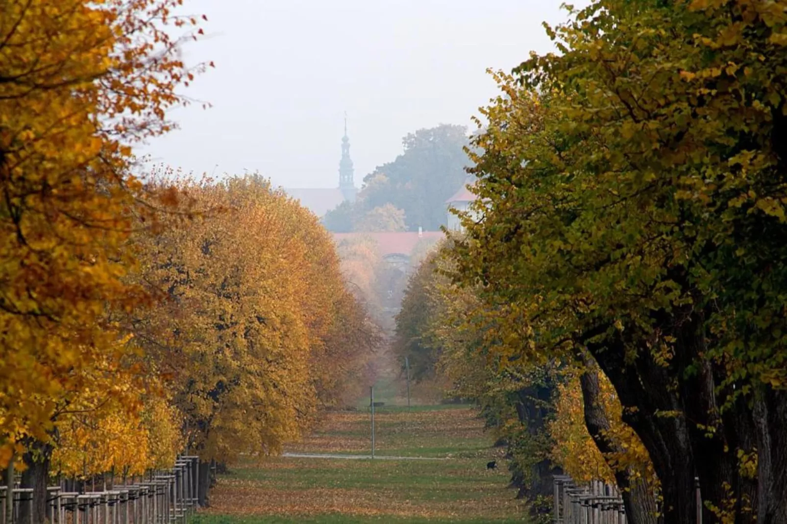 Prachověnka-Areas within 20km in summer