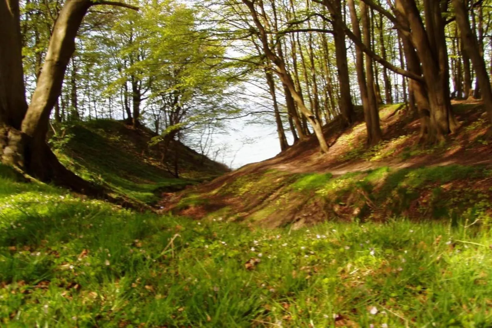 Seeadler 6-Areas within 20km in summer