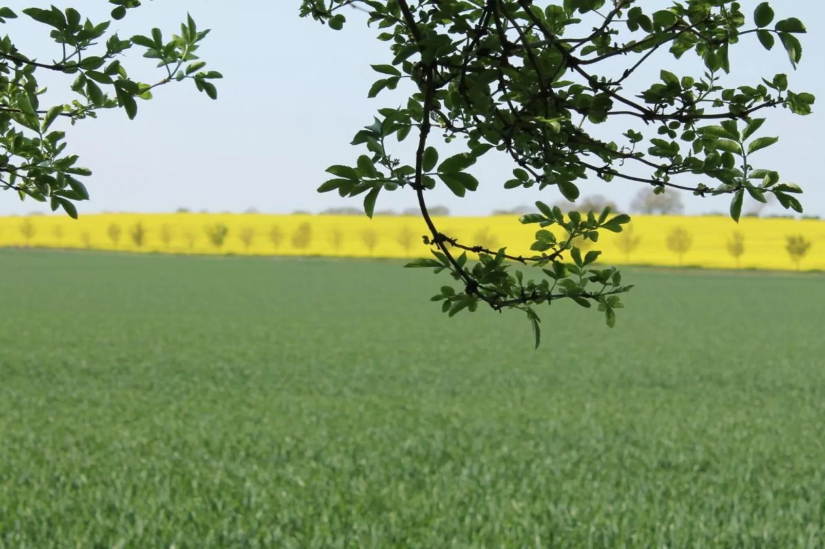 Andrea-Areas within 20km in summer