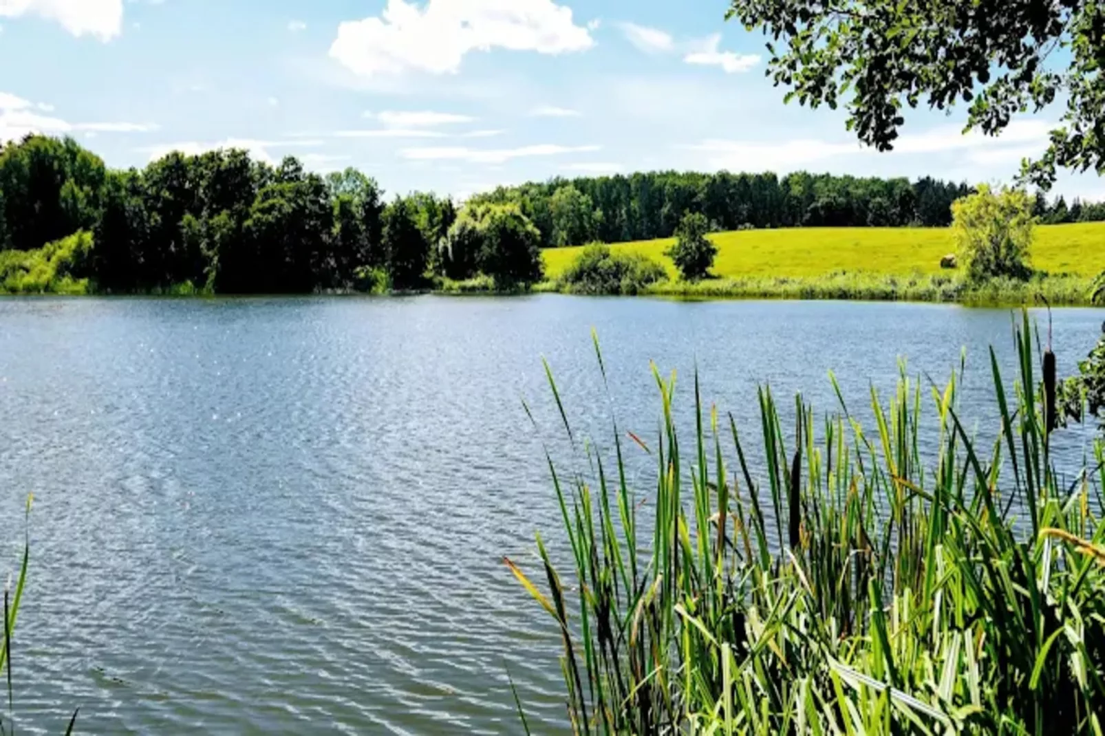 Ferienwohnung mit Feldblick-Areas within 5km in summer