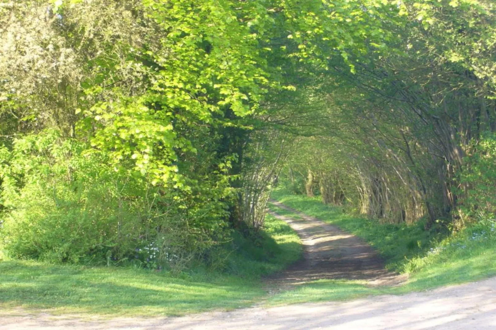 Gartenblick bei Gerdshagen-Areas within 20km in summer