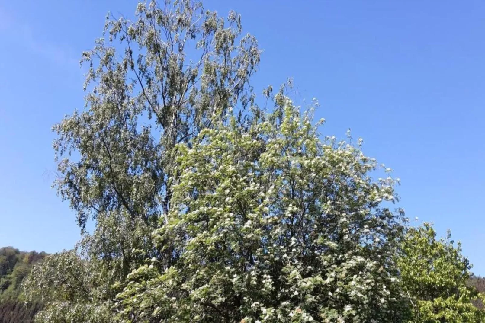Jojohus - Erdgeschoss mit Terrasse-Gebiete Sommer 20 km