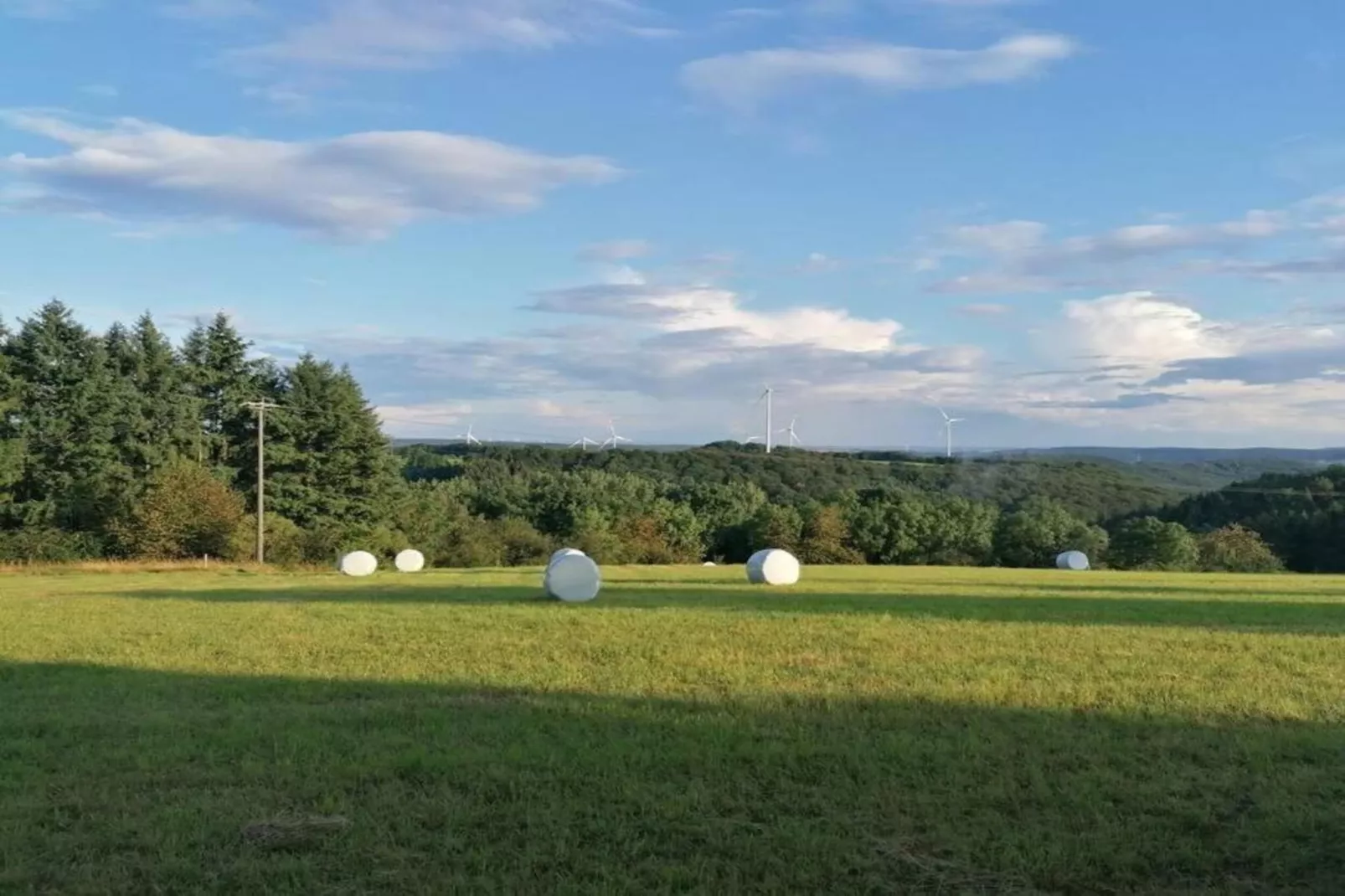 Ferienwohnung Landidyll am Salzhaff-Gebiete Sommer 20 km