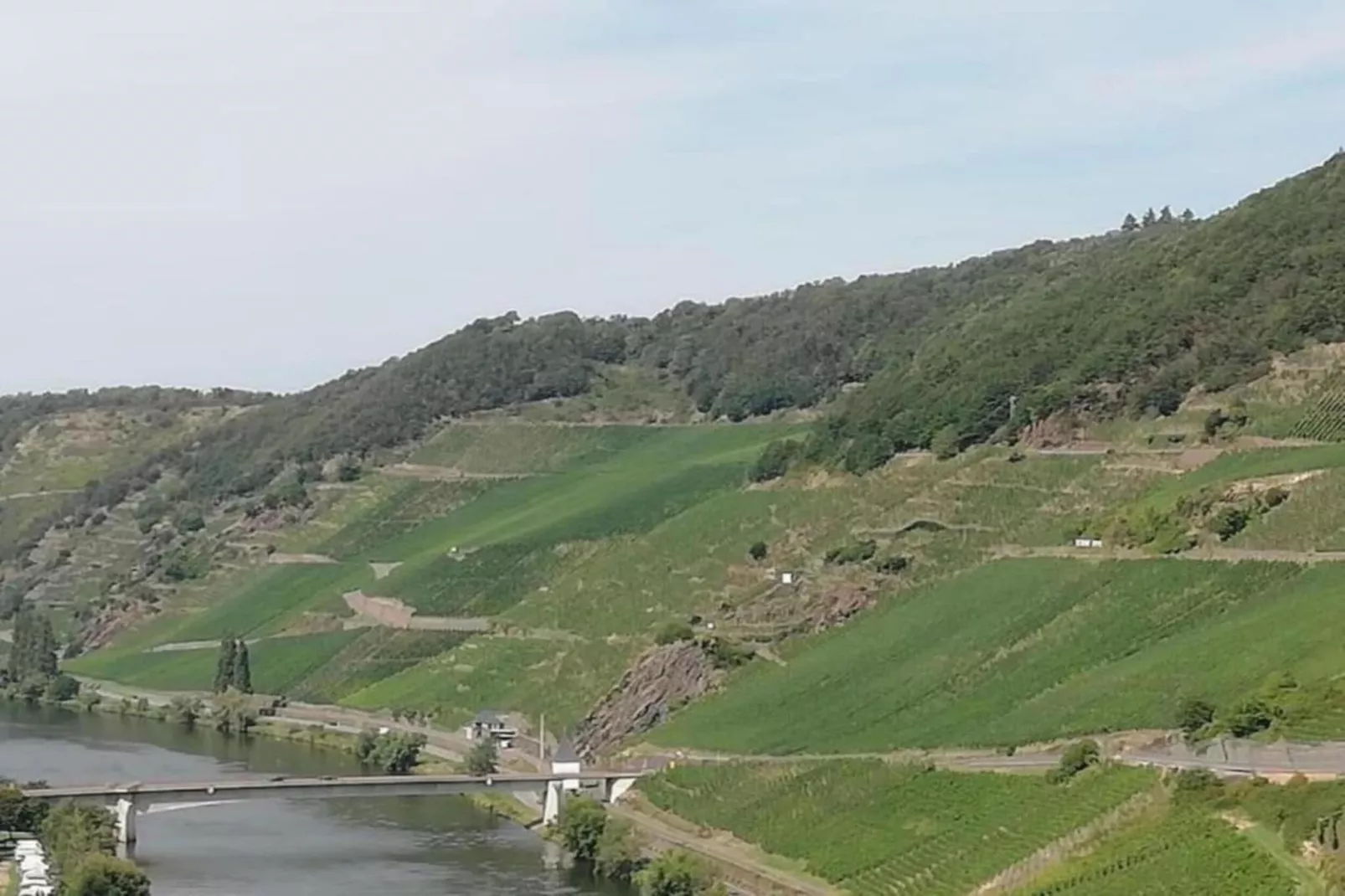 Ferienwohnung mit Moselblick-Areas within 20km in summer