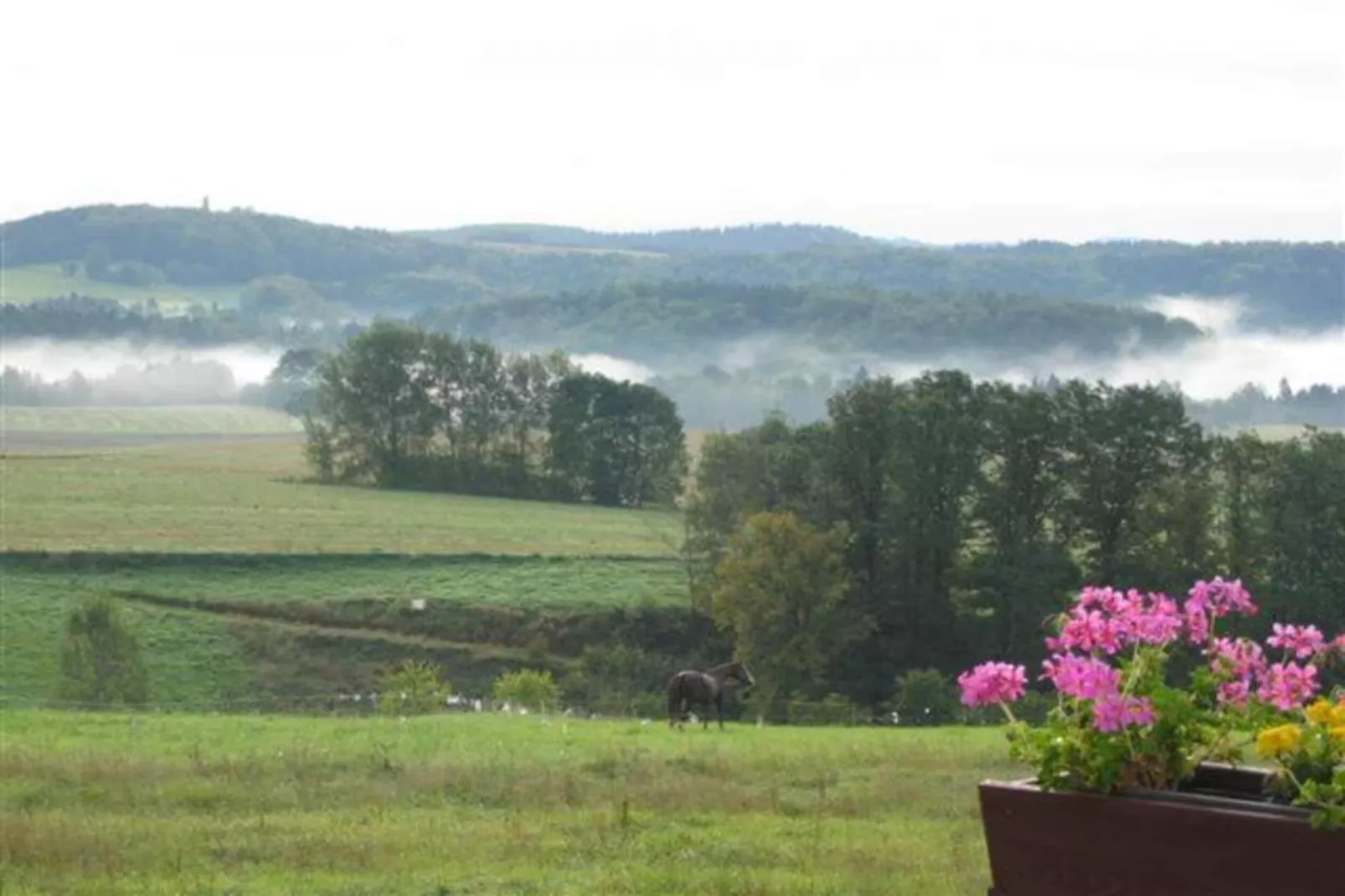 Lichtenhain-Areas within 5km in summer