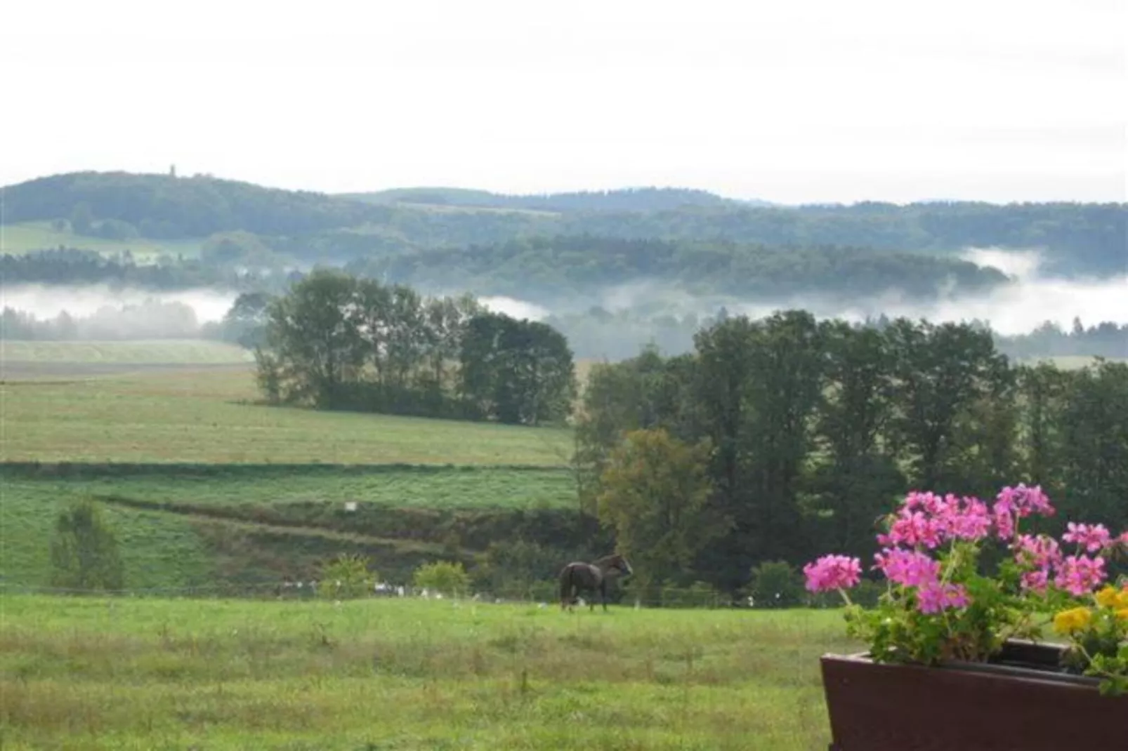 Sächsische Schweiz-Gebiete Sommer 5 km