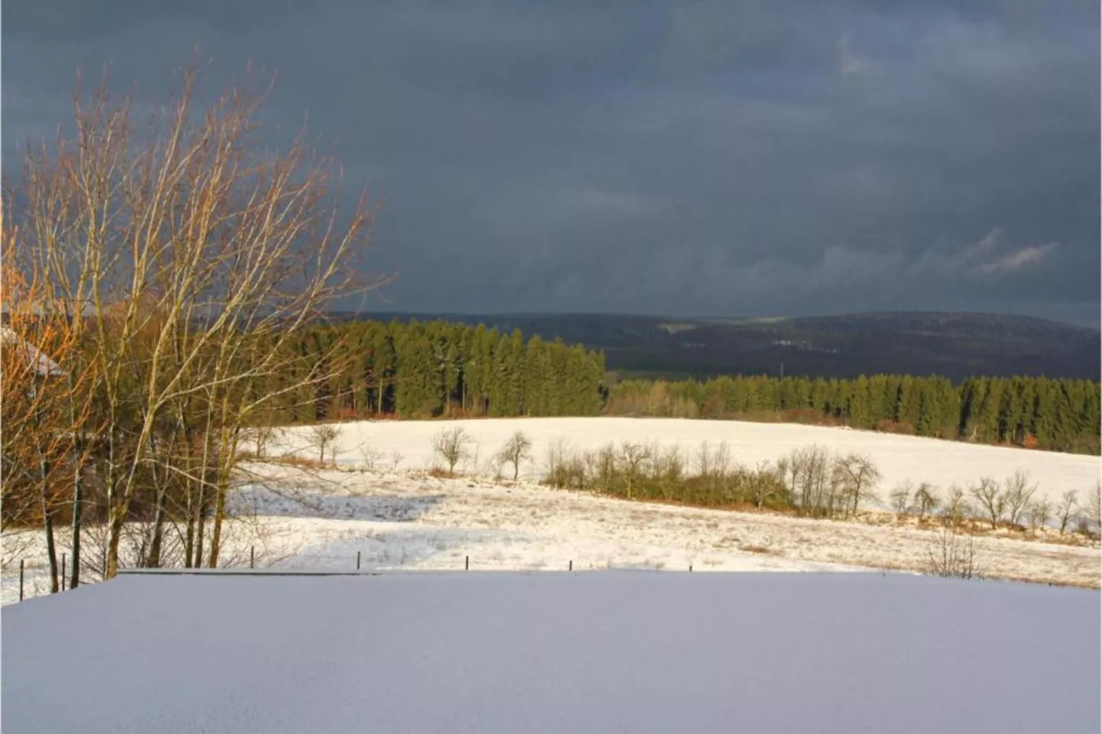 Luisa-Areas within 20km in summer