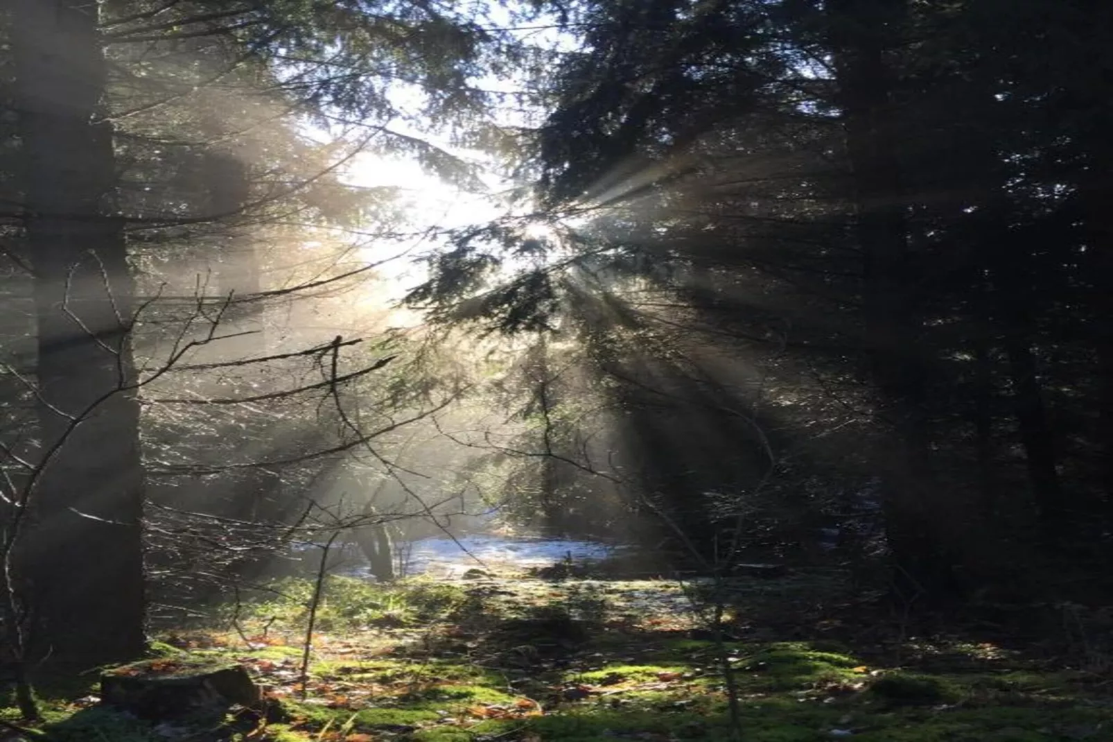 Holzhaus Ute-Areas within 20km in summer