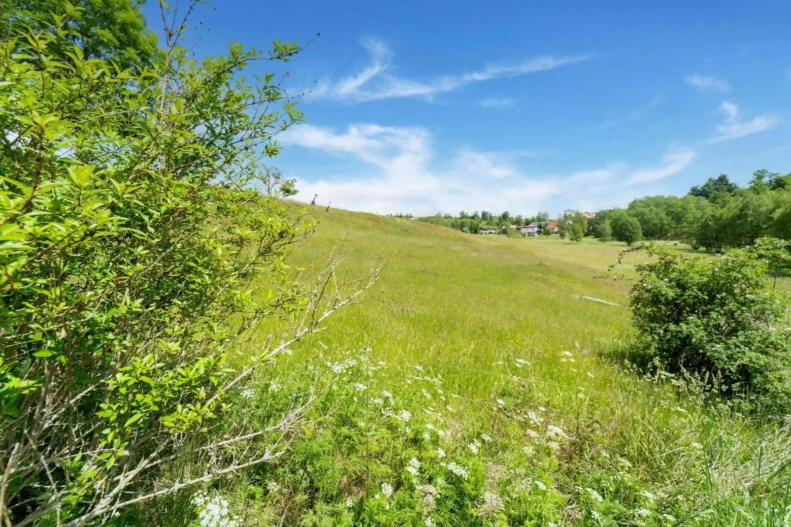 Im Limbachtal-Areas within 5km in summer
