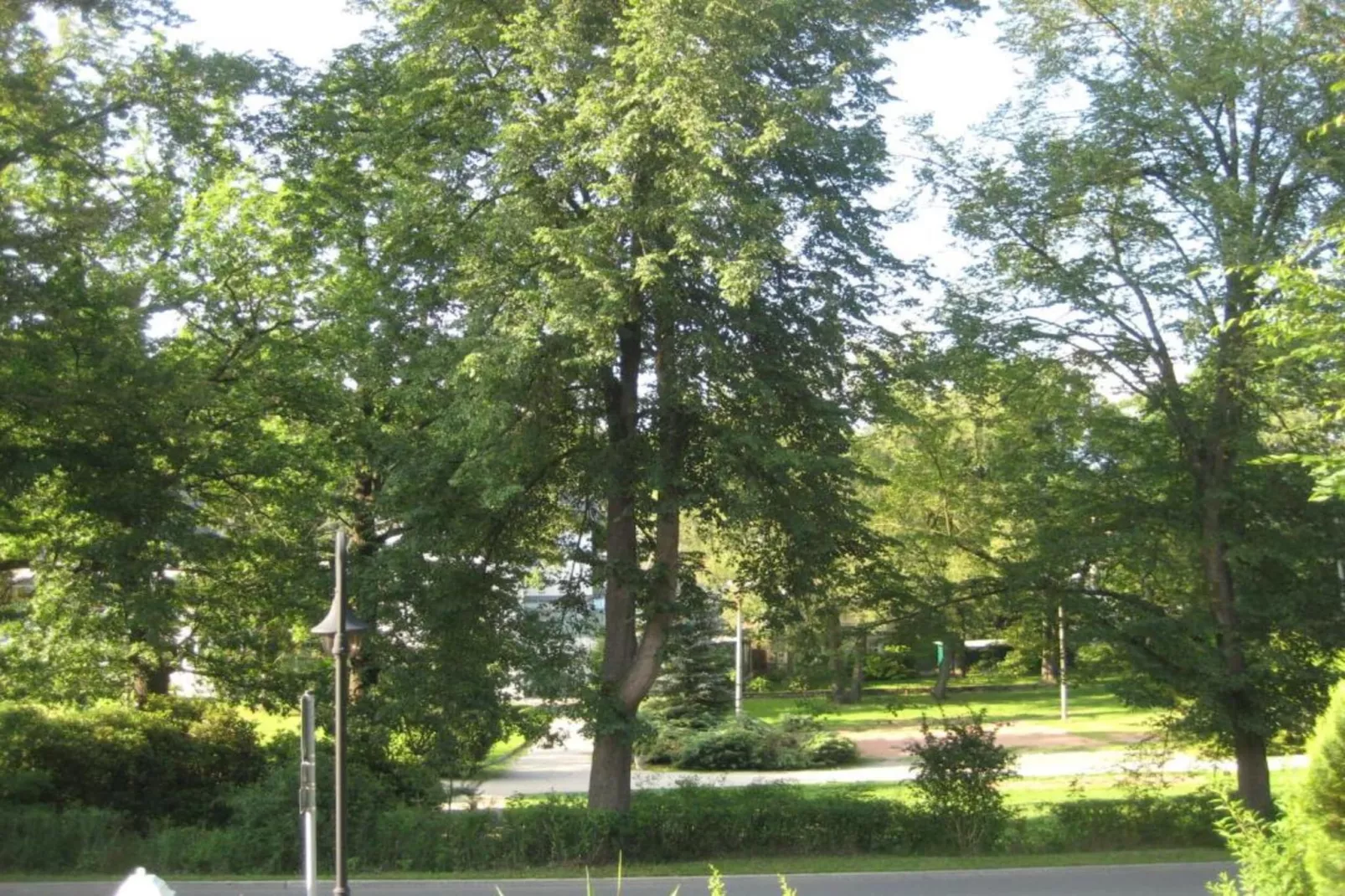 Bad Elster-Gebiete Sommer 20 km