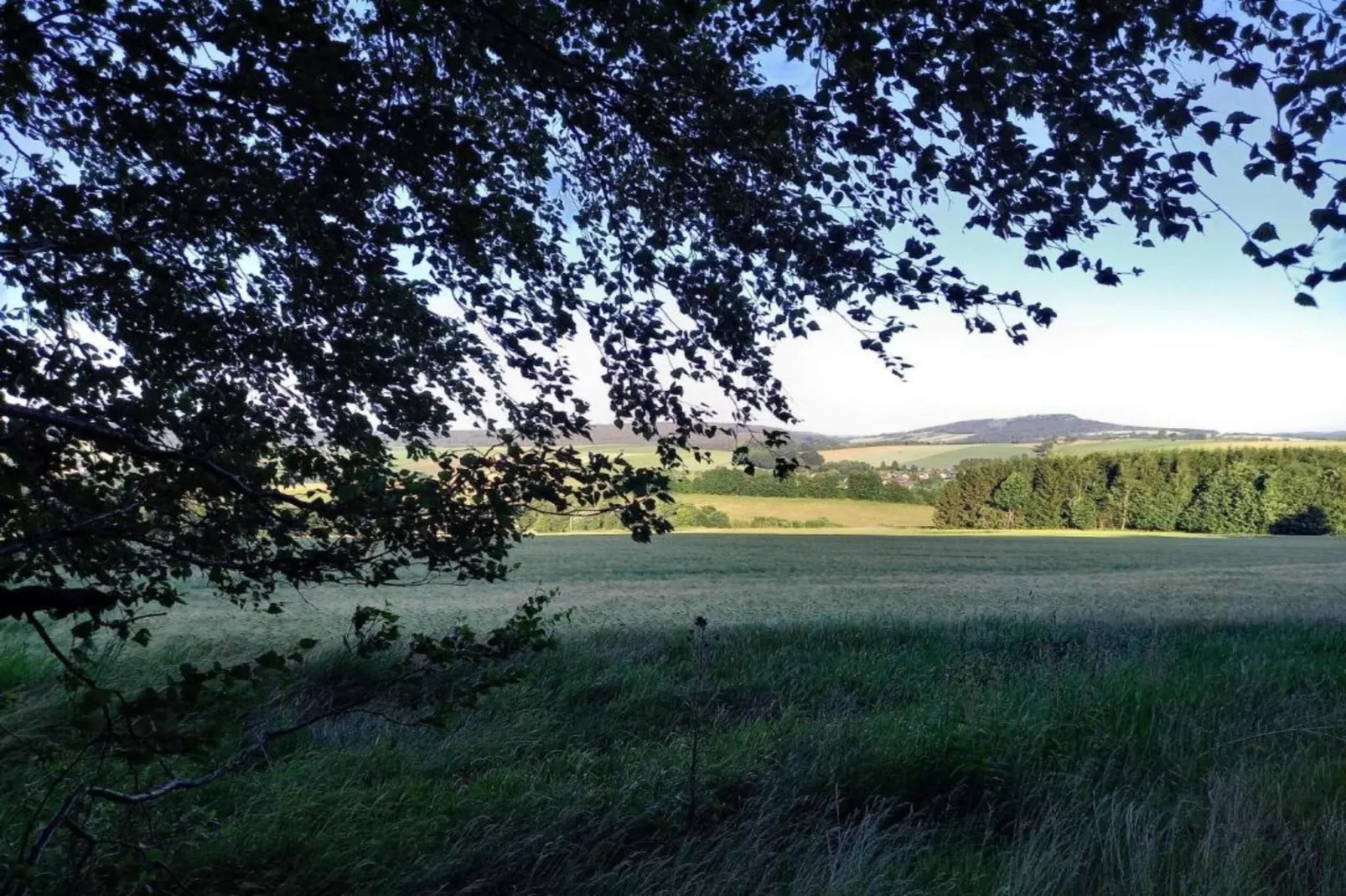 Honighäusl-Gebiete Sommer 20 km