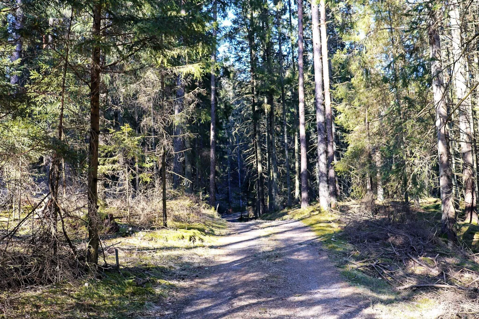 5 Personen Ferienhaus in Fjärås-By Traum-Innenbereich