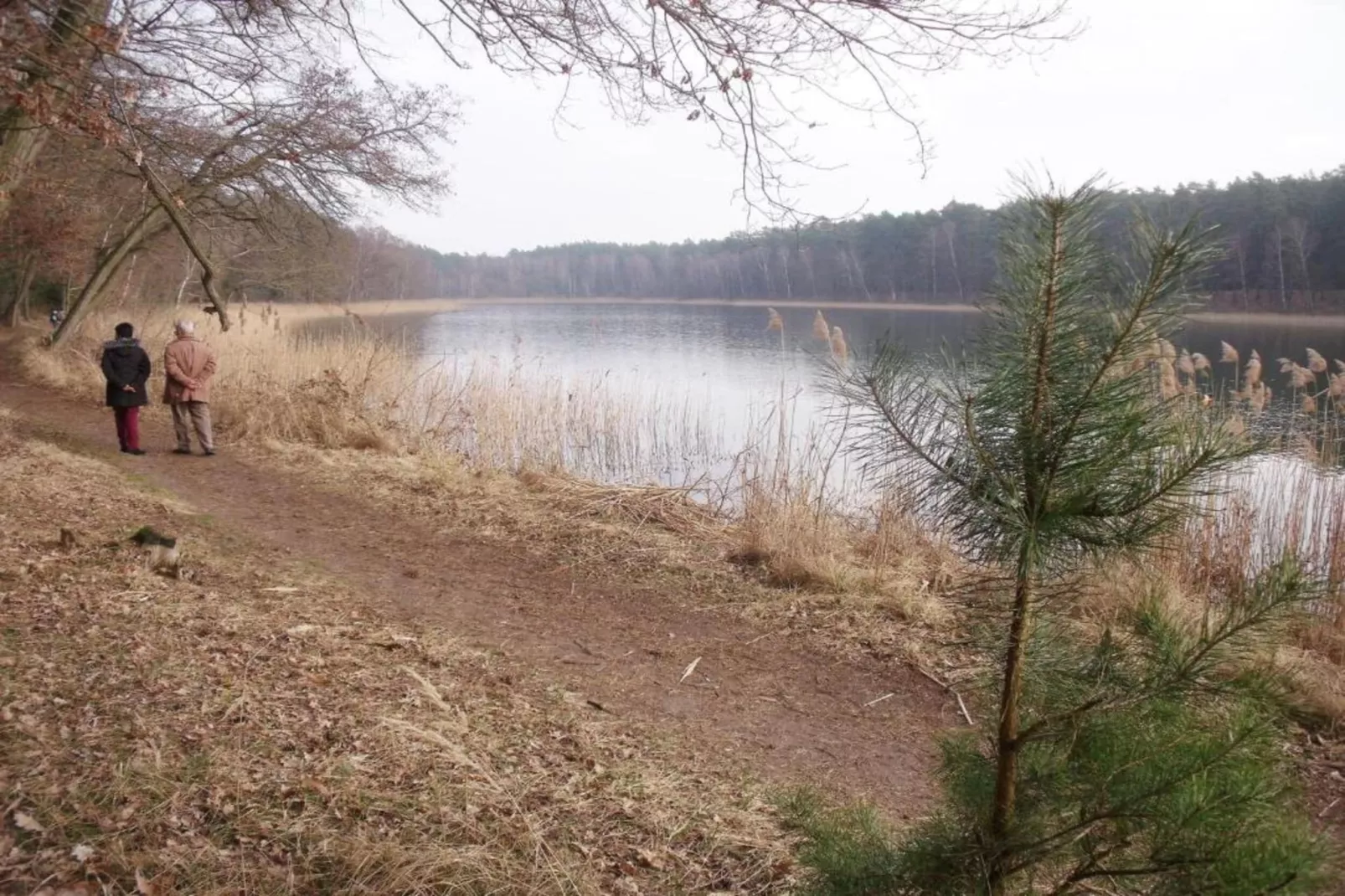 Ferienhaus Storchenblick-Zones été à 20 km