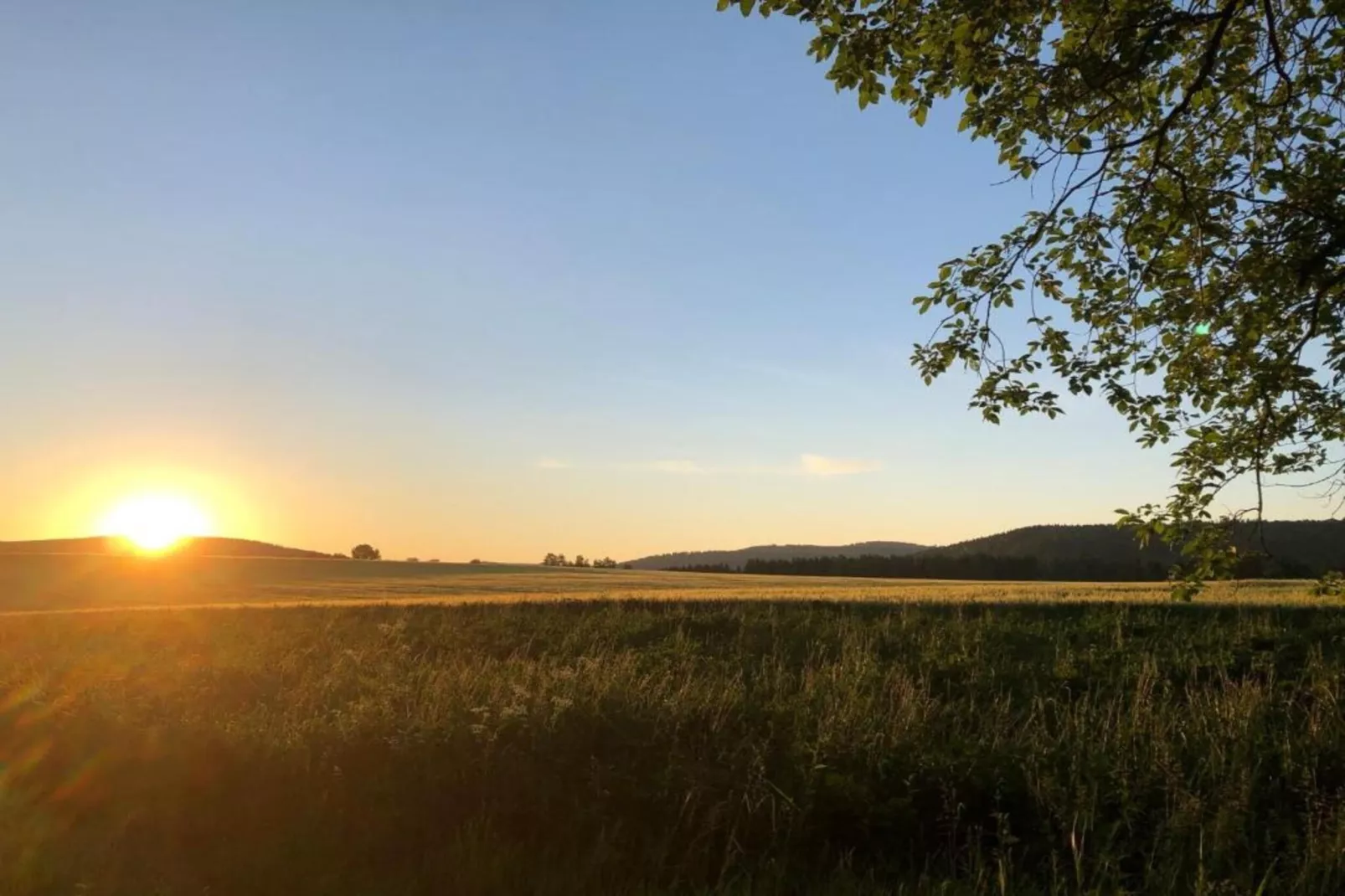 Ferienwohnung an der Talsperre Rauschenbach-Areas within 20km in summer