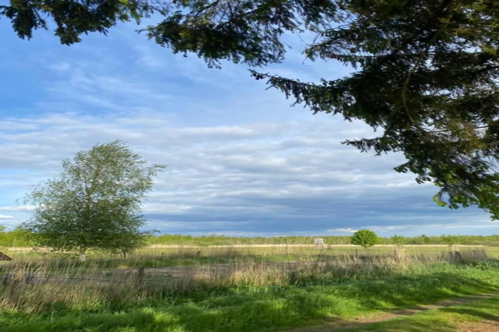 Ferienhaus Ahlbeck am Haff - Schlafen unter Reet / 2-Areas within 20km in summer