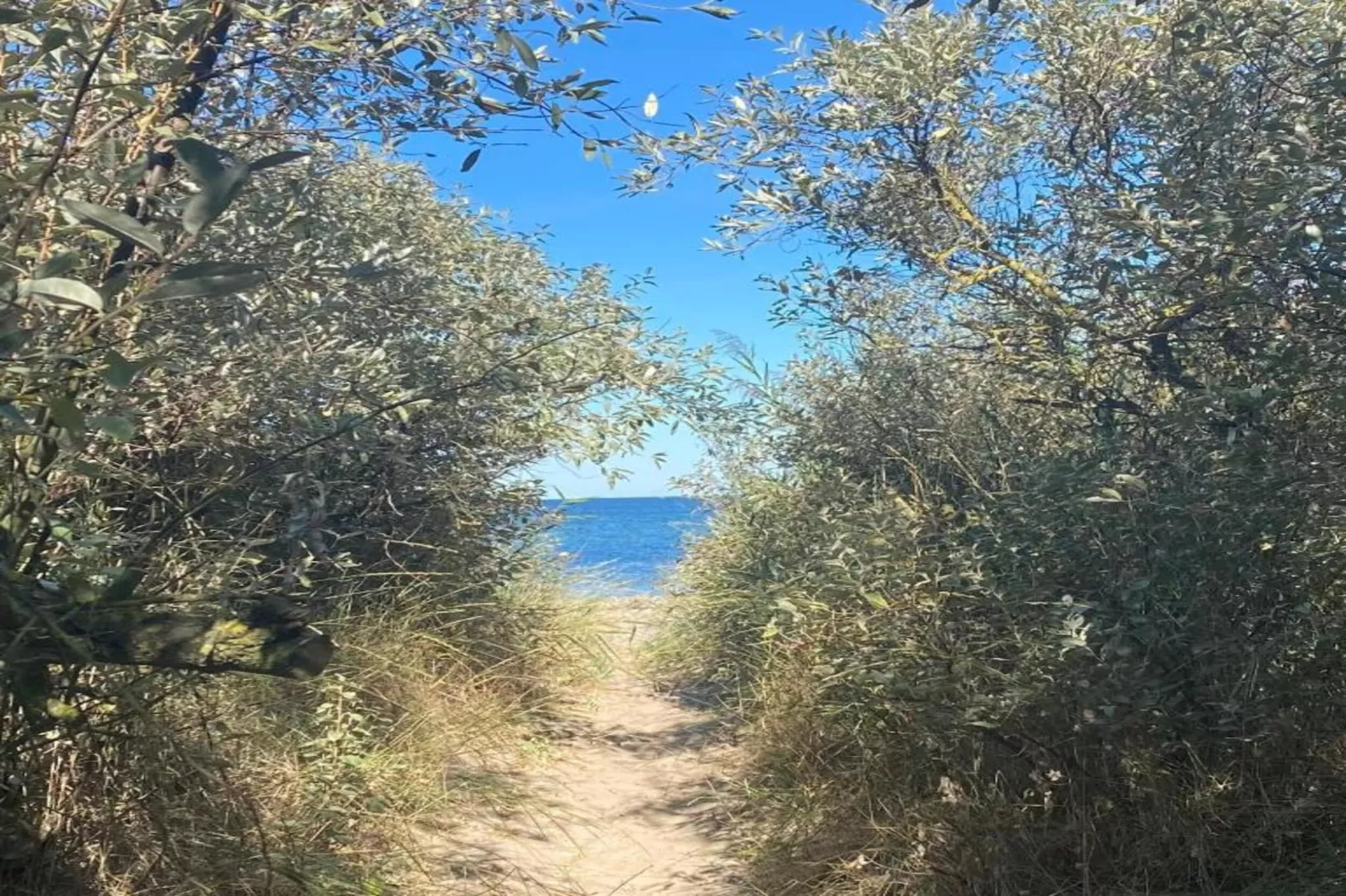 Strandnaher Familienurlaub-Gebiete Sommer 5 km