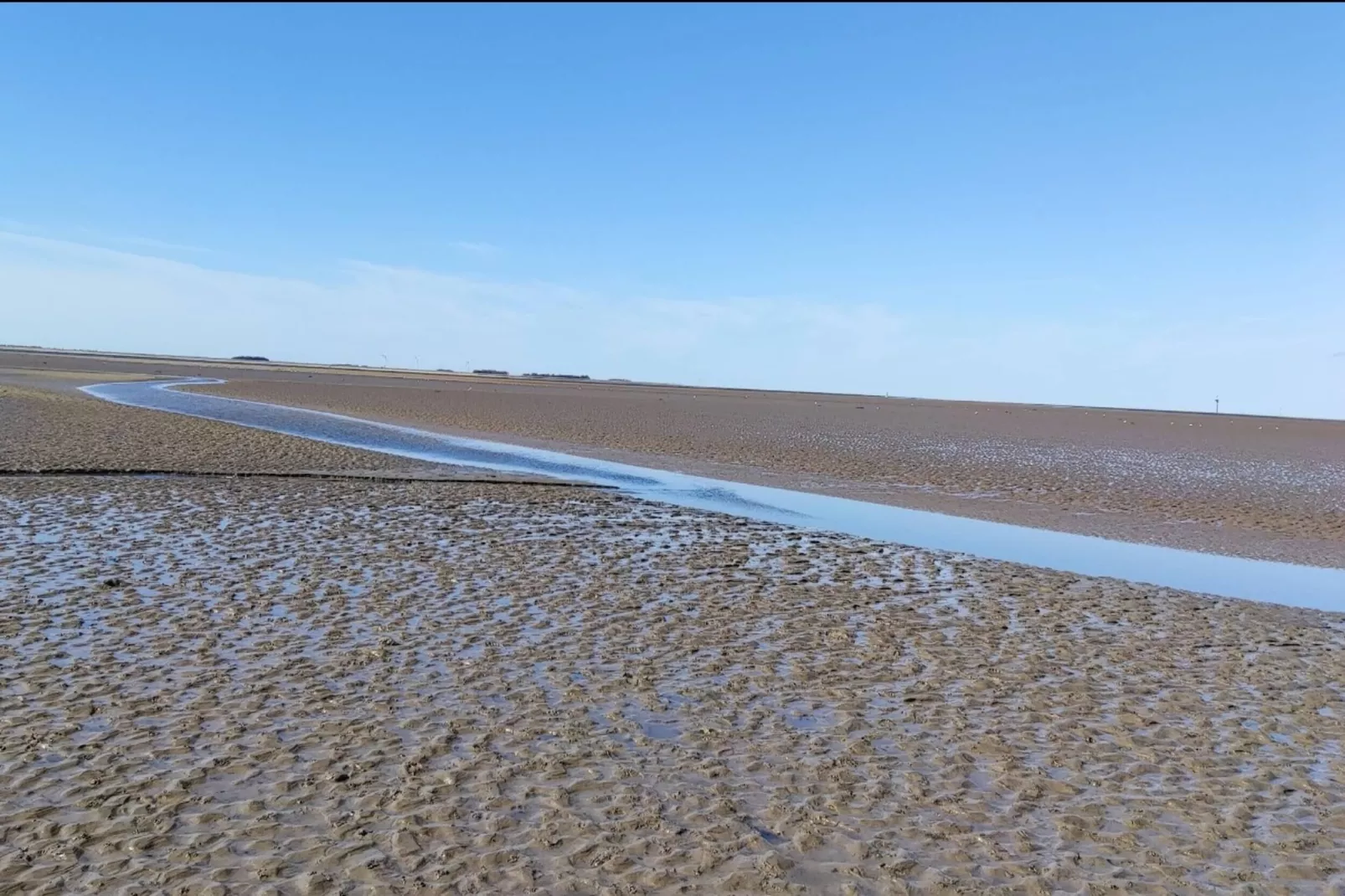 Ferienhaus Föhr-Gebiete Sommer 5 km