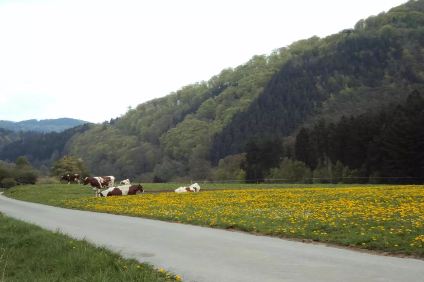 Am Weiher-Areas within 5km in summer