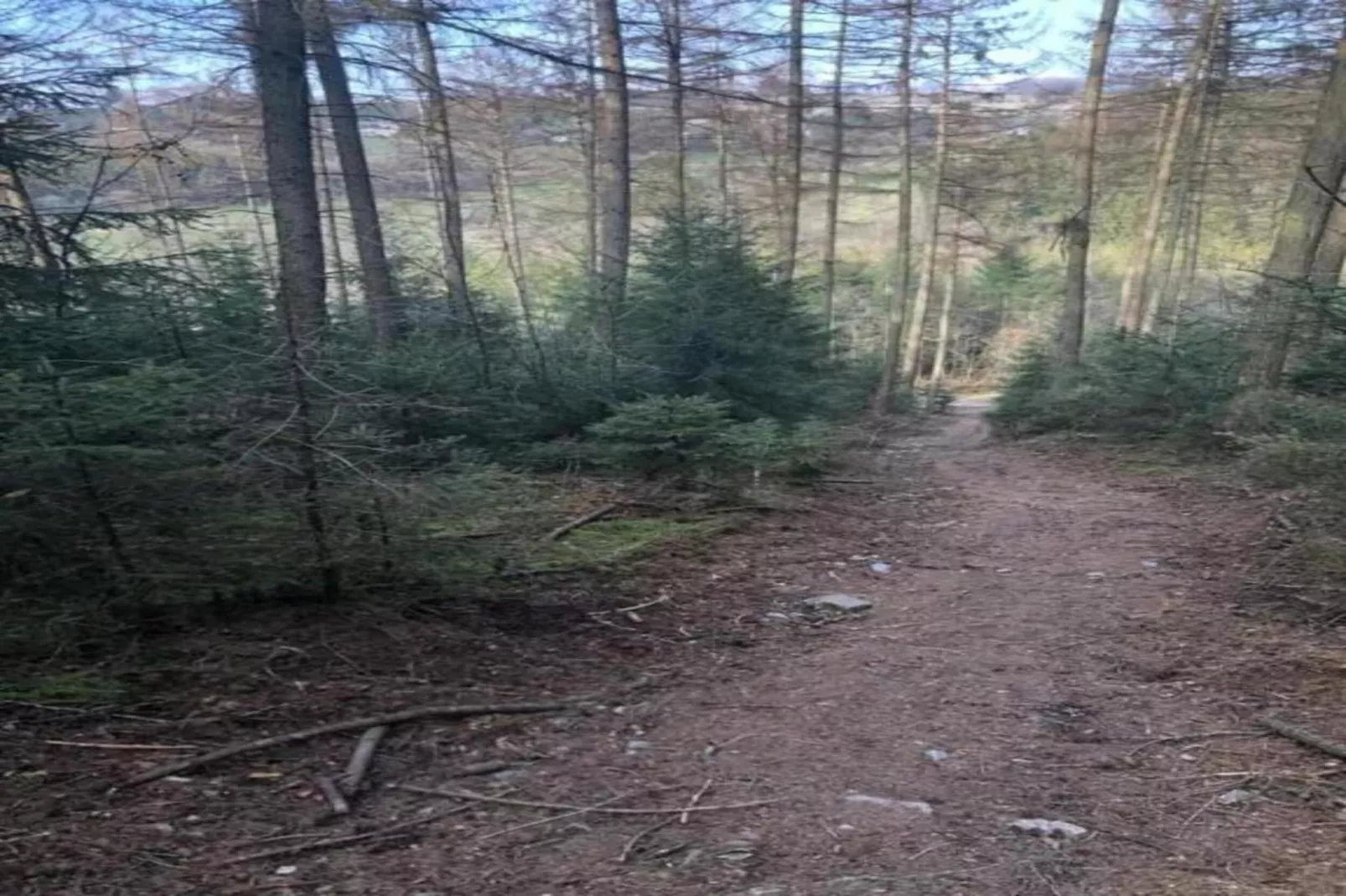 Haus am Iberg-Gebiete Sommer 20 km