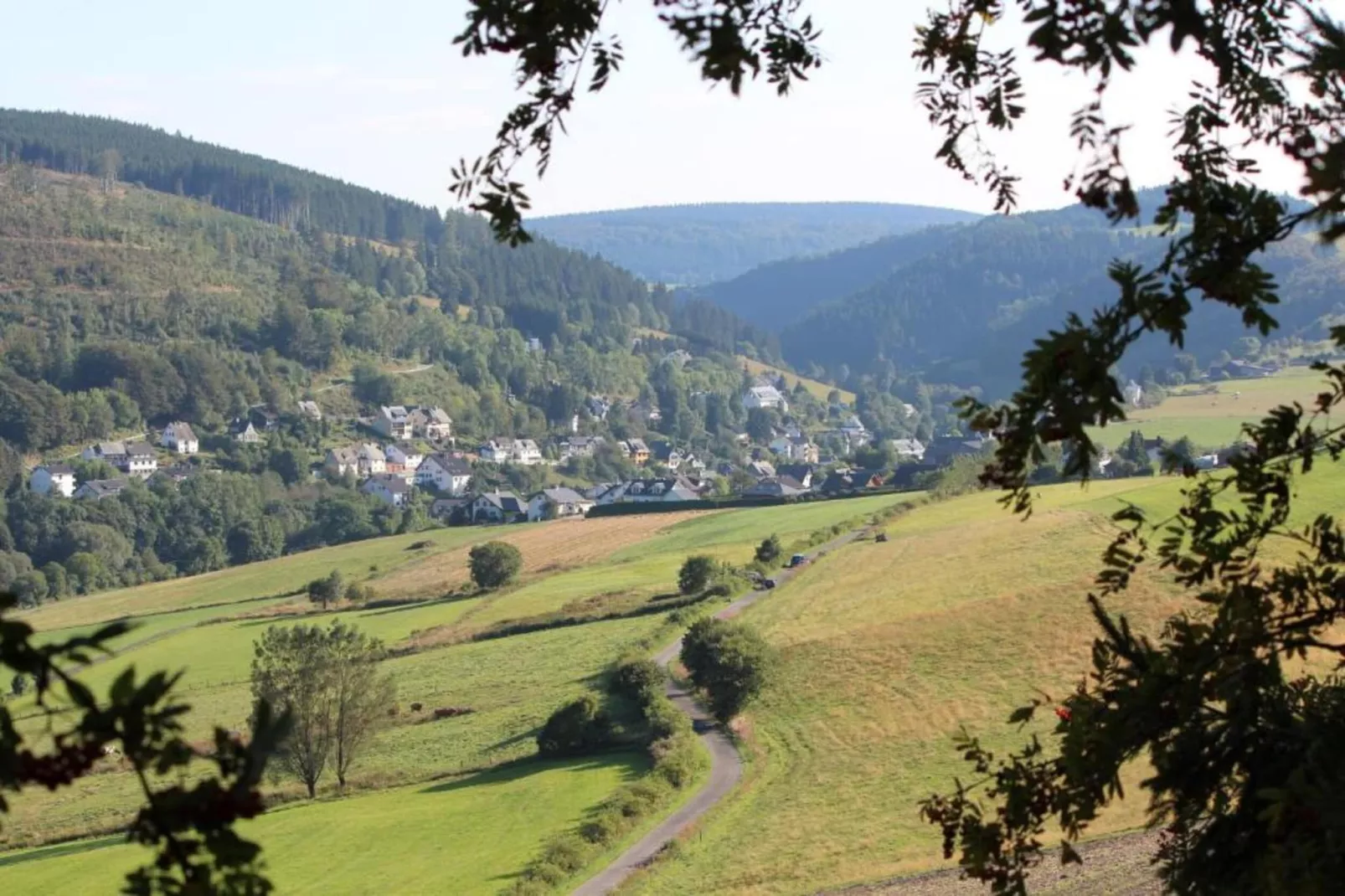 Willingen-Zones été à 5 km