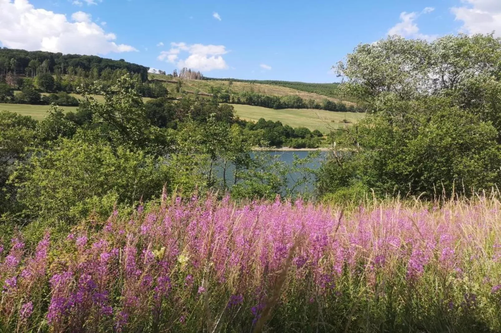 Sauerland - Diemelsee-Areas within 5km in summer