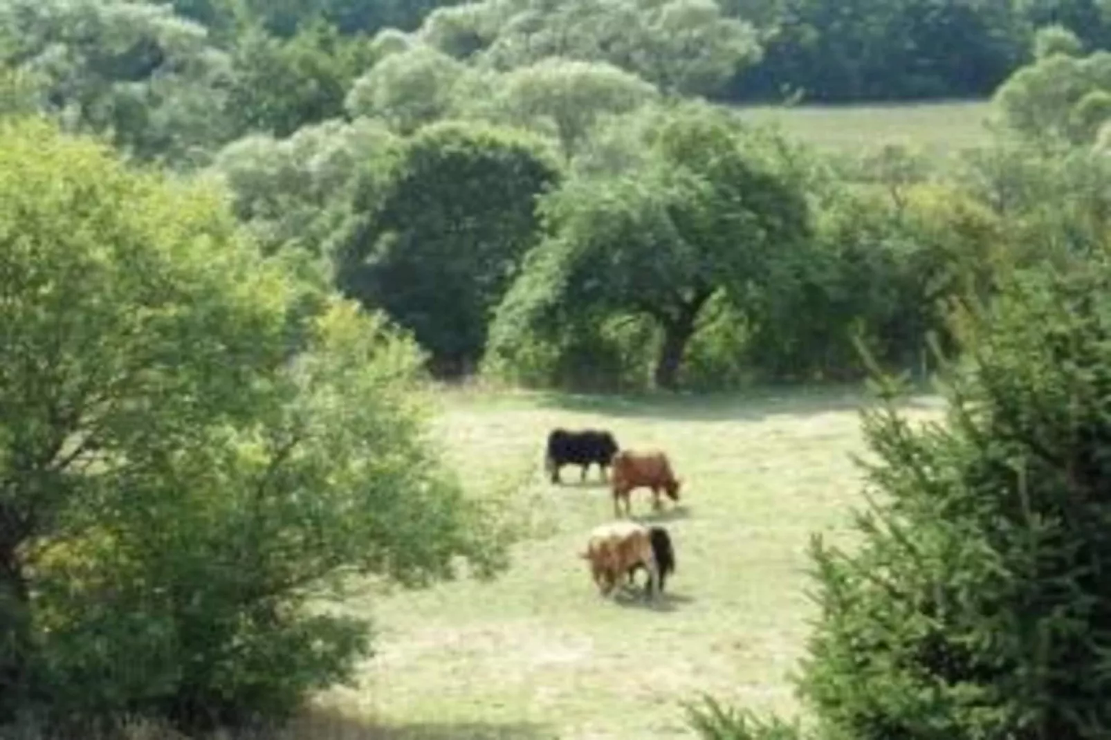 Sauerland-Areas within 20km in summer