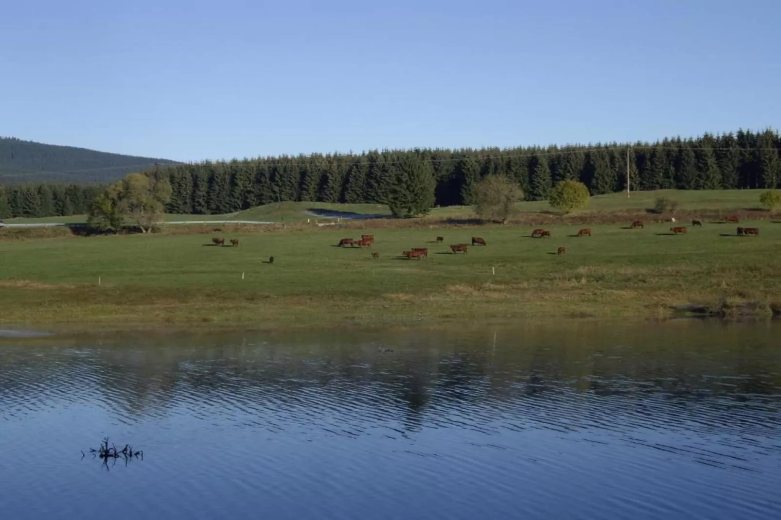 Ferienhaus Loretta-Gebiete Sommer 20 km