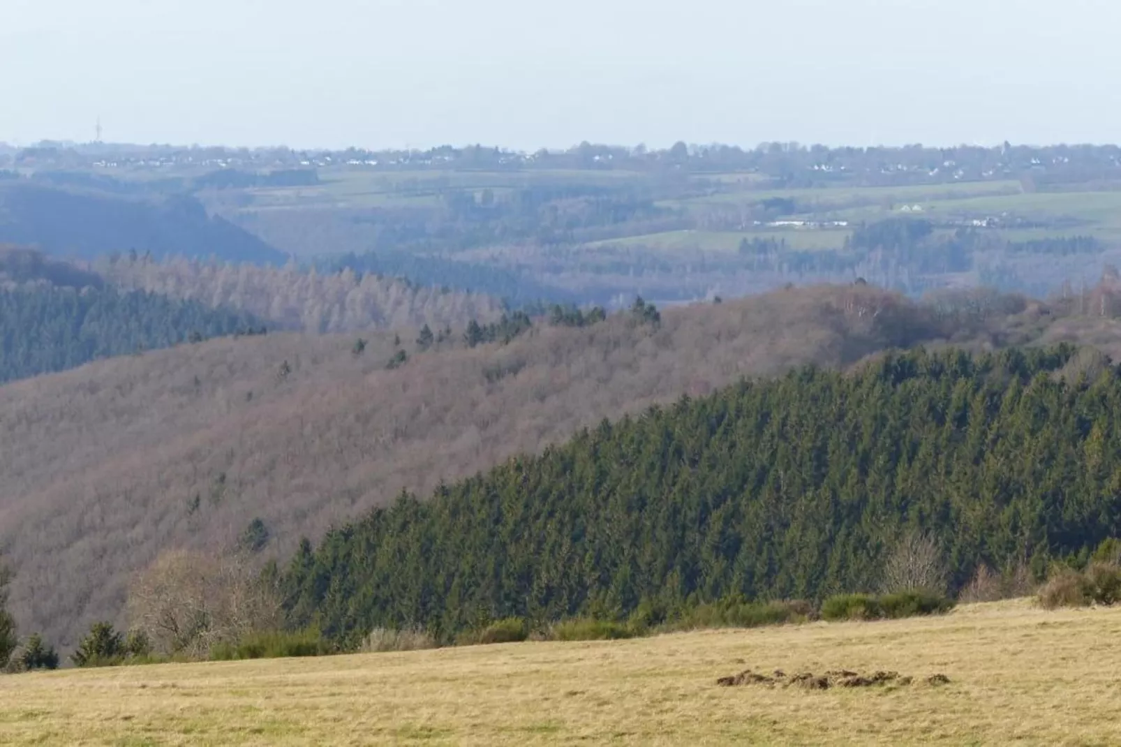 Morsbacher Hof III-Gebiete Sommer 20 km