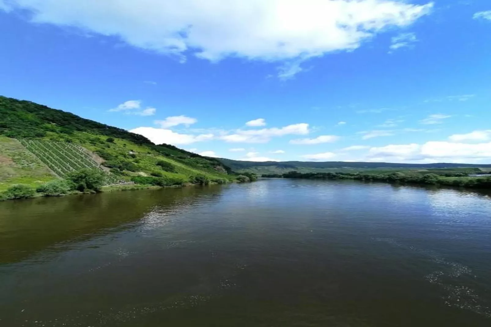 Beatrix-Areas within 5km in summer