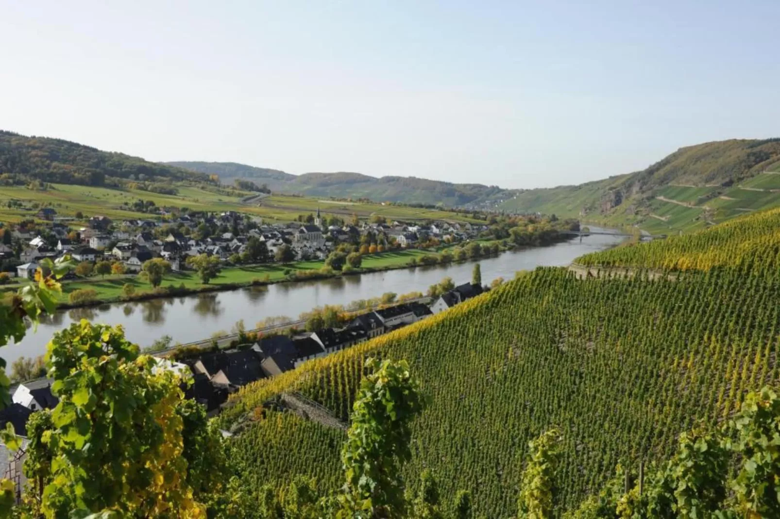 Weingut Justen-Kiebel-Areas within 20km in summer
