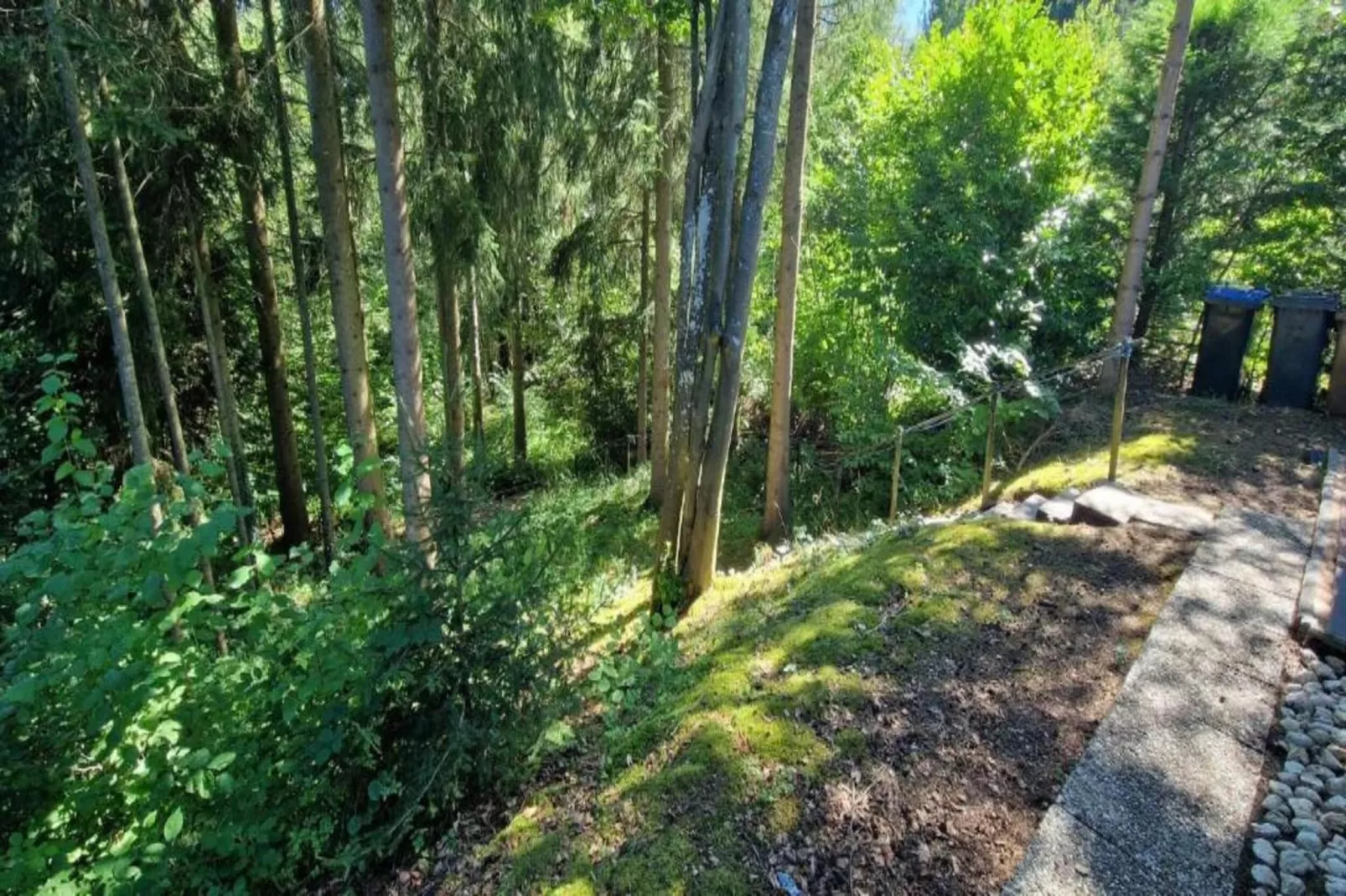 Eifelpark 9-Areas within 5km in summer