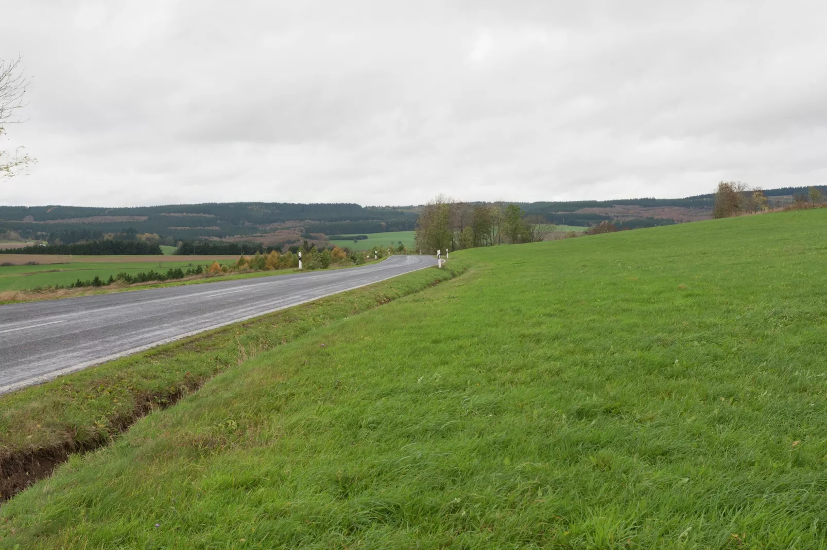 Schuler-Areas within 1km in summer