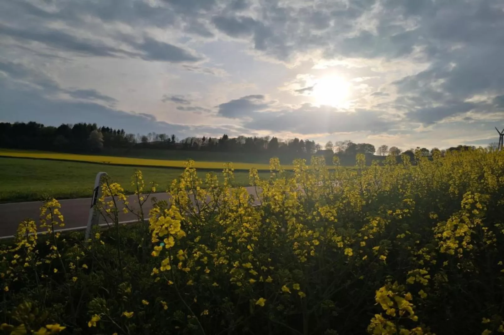 Feriendorf Reinskopf 1-Areas within 5km in summer