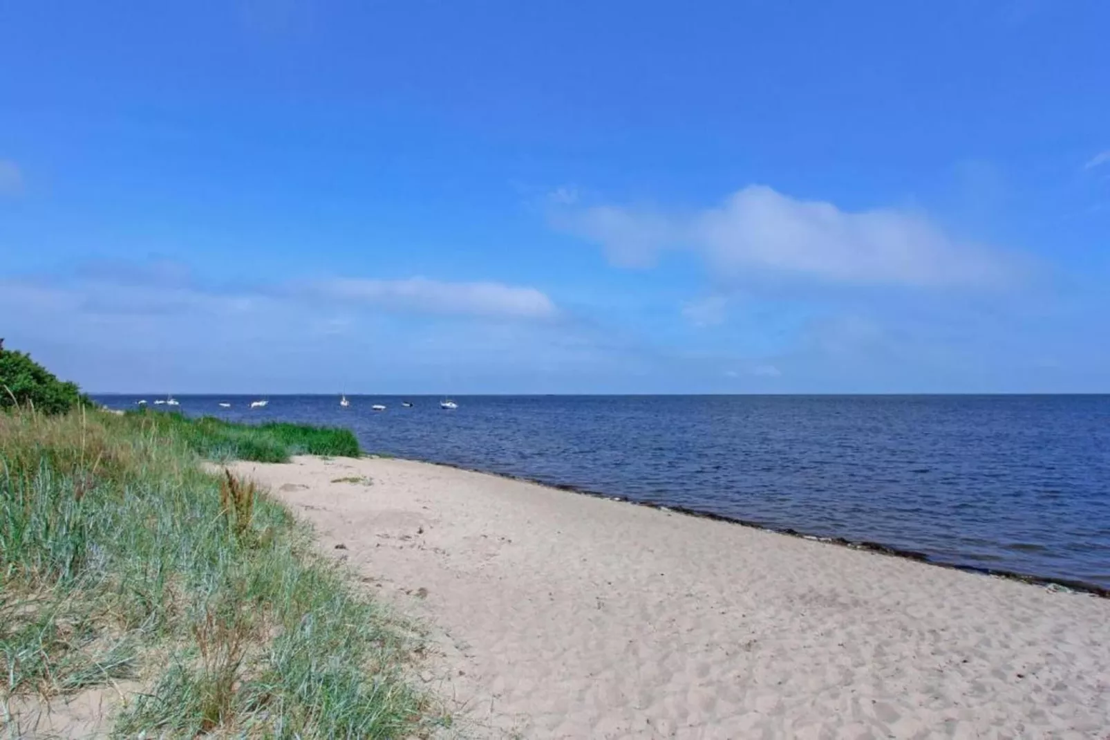 Ferienwohnung Waldeifel-Gebiete Sommer 20 km