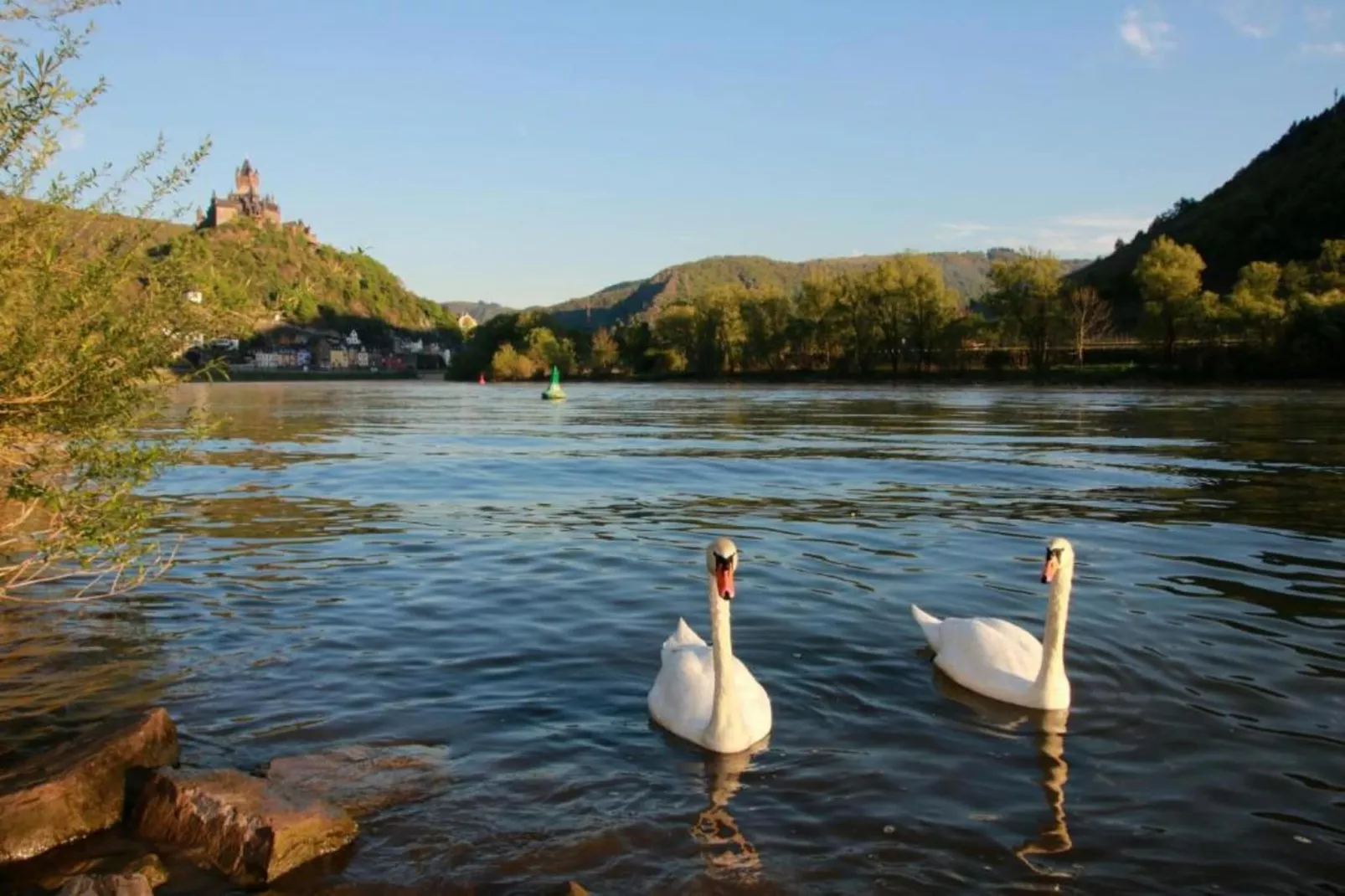 Ferienresort Cochem 33-Areas summer 20km