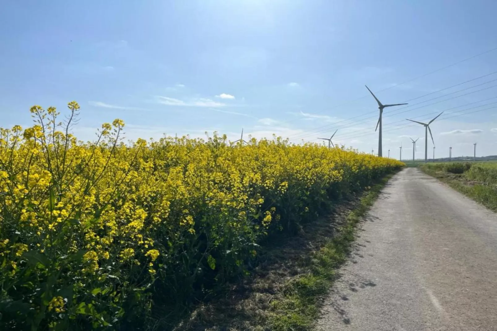 Kaifenheimer Mühle 3-Areas within 20km in summer