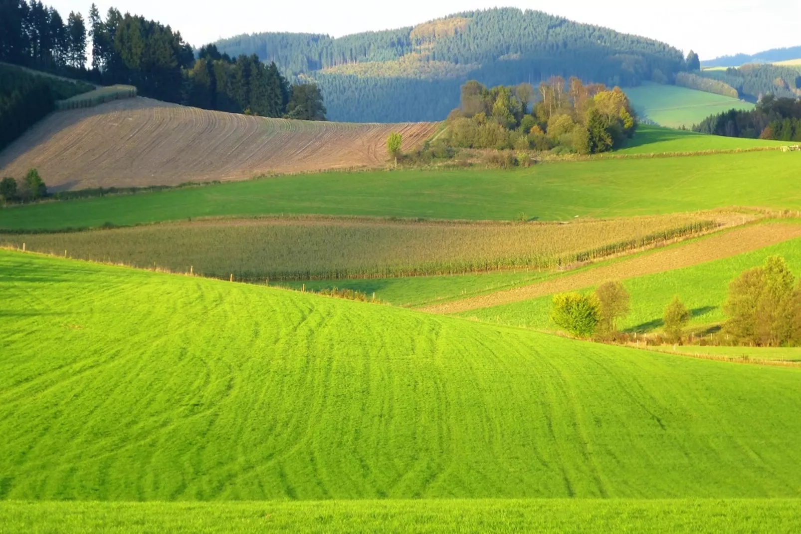Wilzenberg II-Areas within 5km in summer