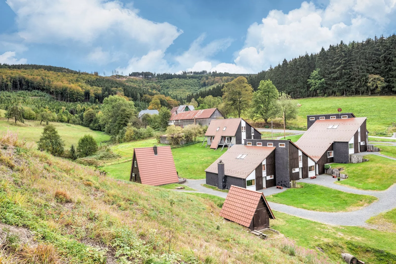 Dachsbau-Areas within 1km in summer