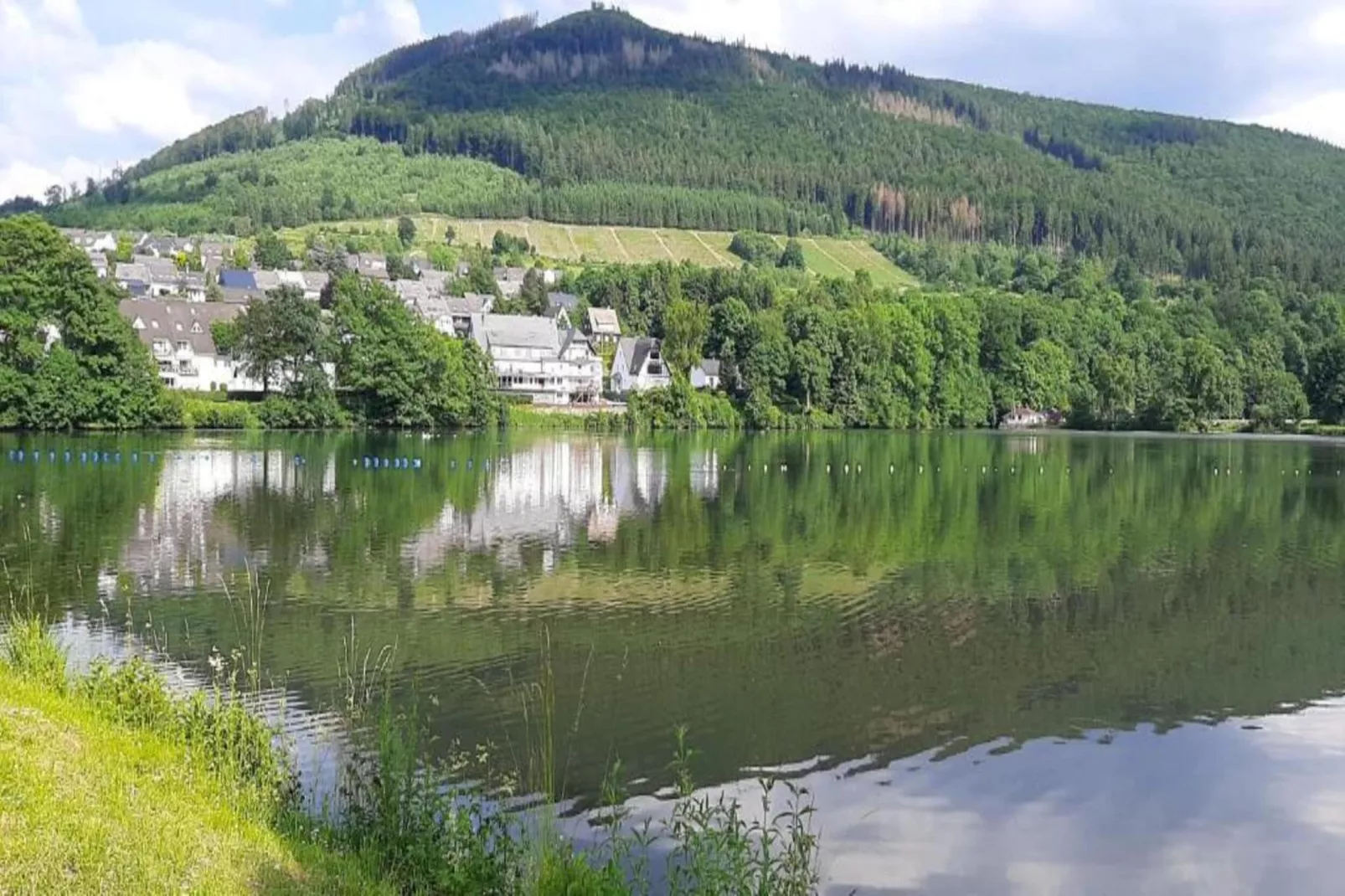 Im Ries-Gebiete Sommer 5 km
