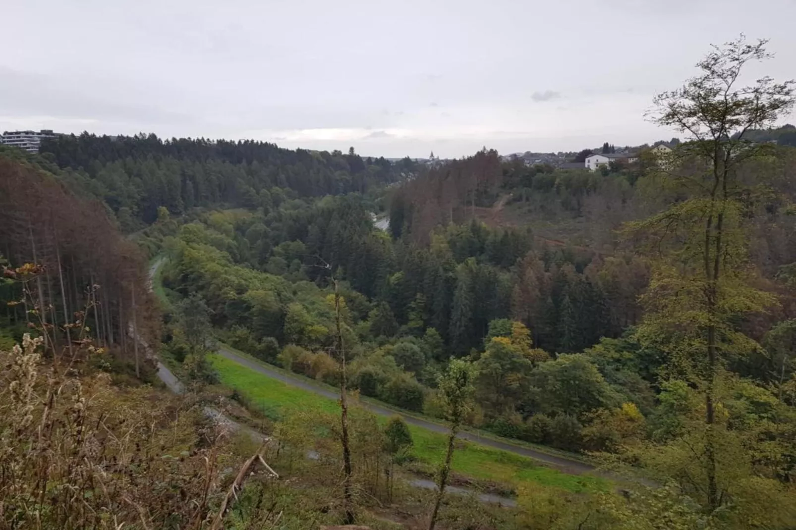 Bergresort Winterberg 1 - Areas within 20km in summer
