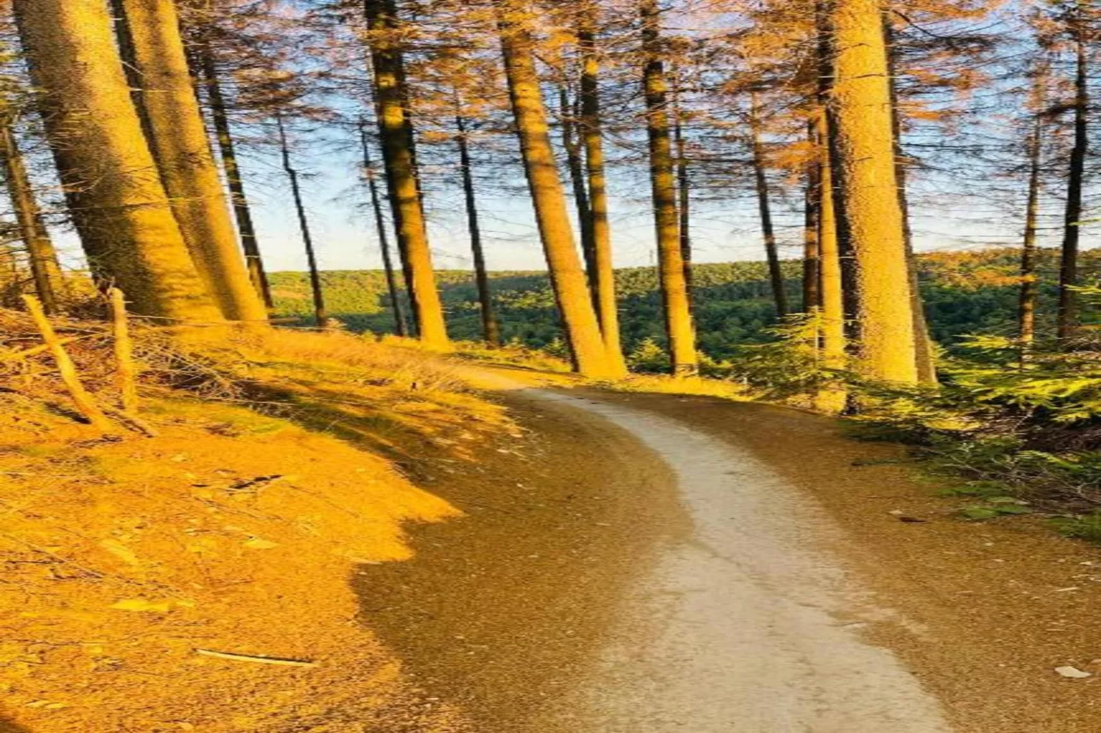 Zum Kahlen Asten-Areas within 5km in summer