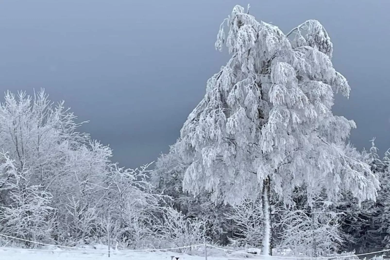Küstelberg-Gebiet Winter 20 km