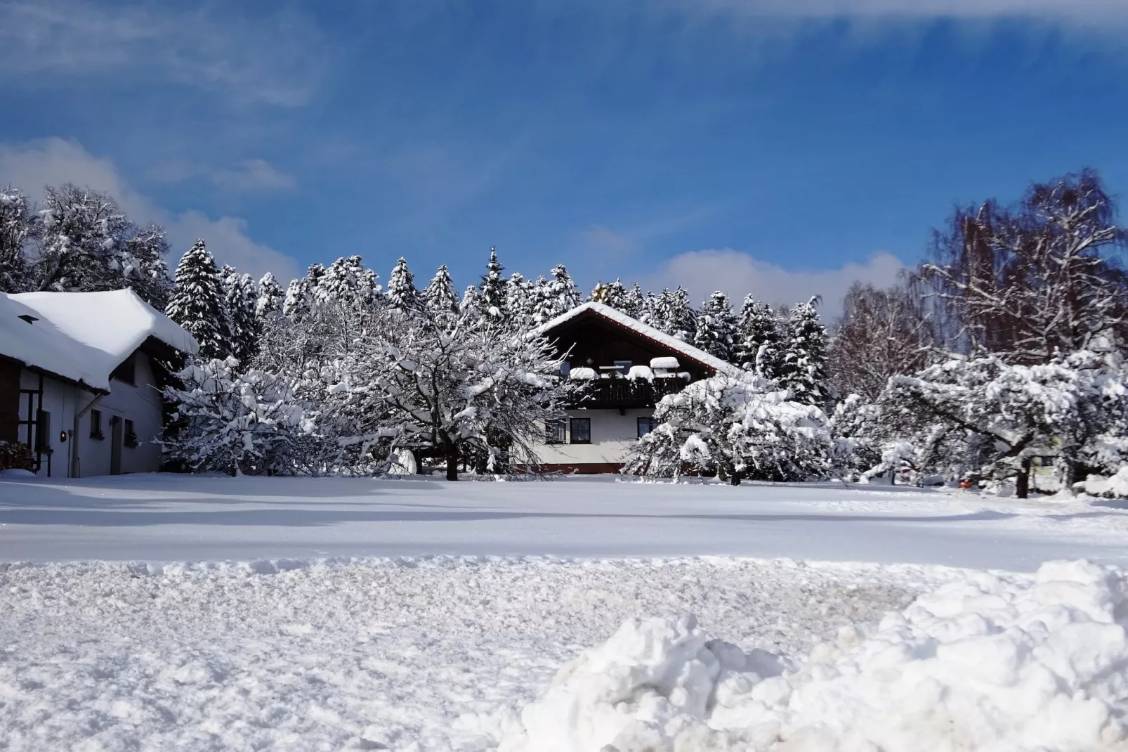 Schröder-Exterior in winter