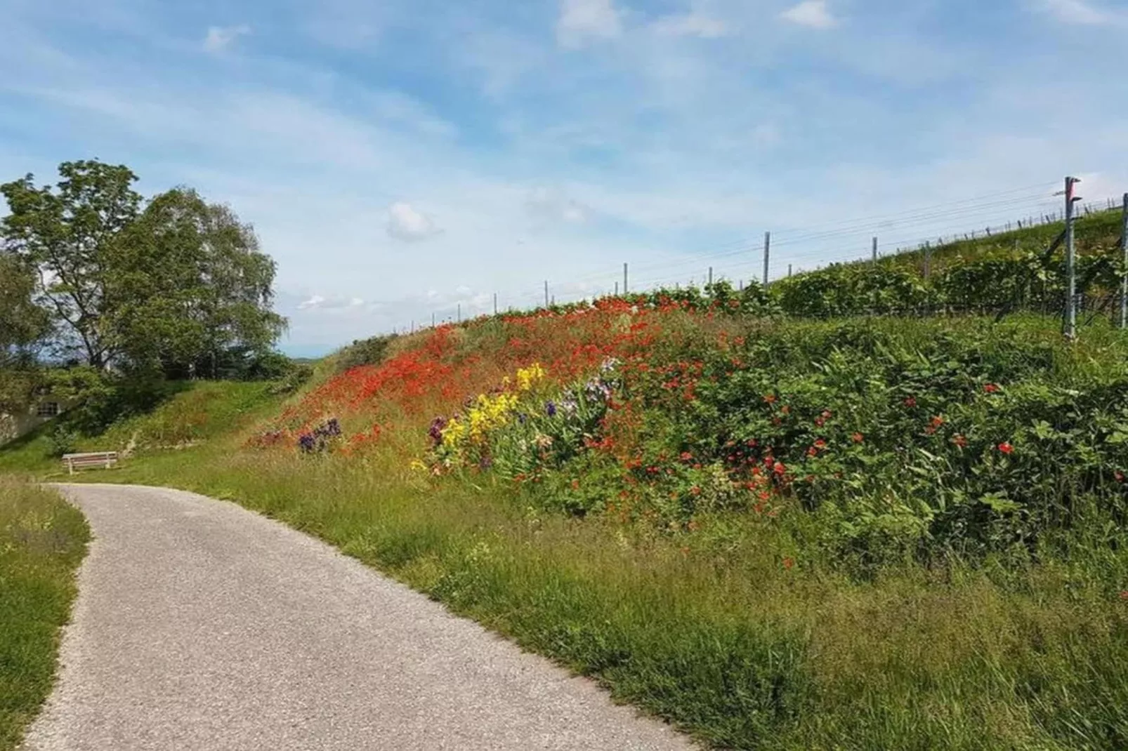 Ferienwohnung Franz-Areas within 20km in summer