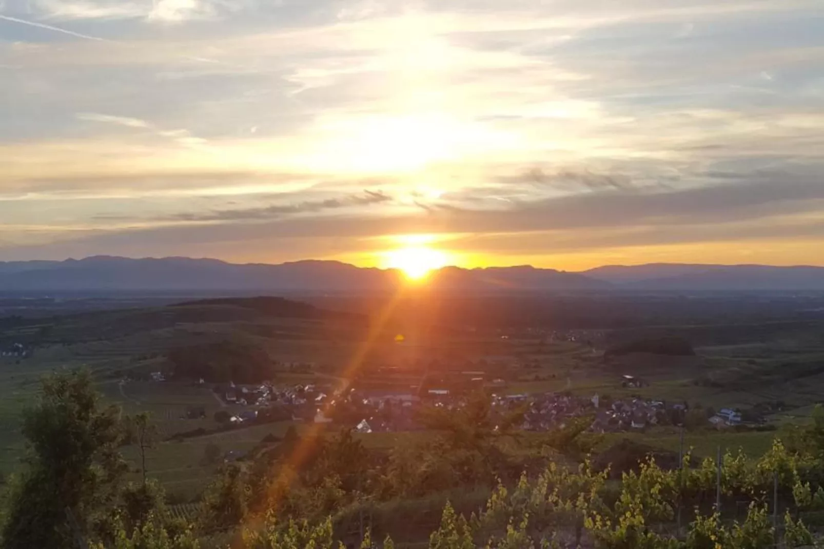 Schwarzwald-Gebiete Sommer 20 km