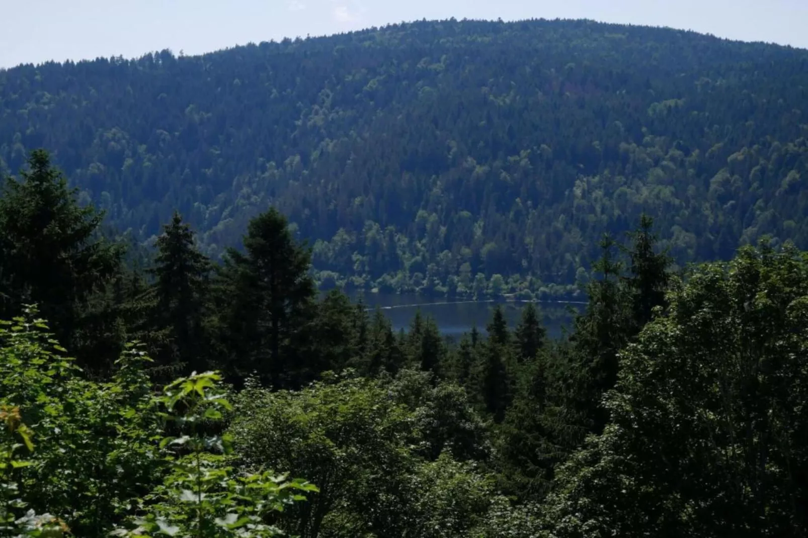 Pferdeklause-Areas within 20km in summer